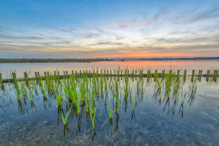 Sunset over lake with shore protection and riparian zone.